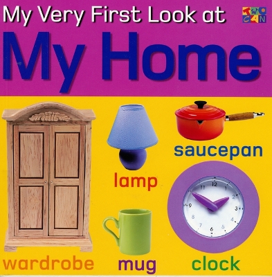 My Very First Look at My Home book