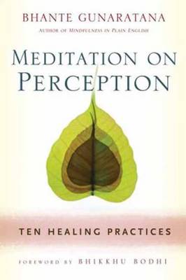 Meditation on Perception book