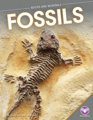 Fossils book