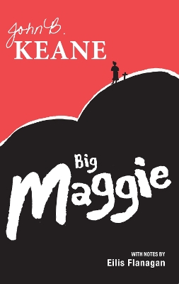 Big Maggie: Schools edition with notes by Eilis Flanagan book