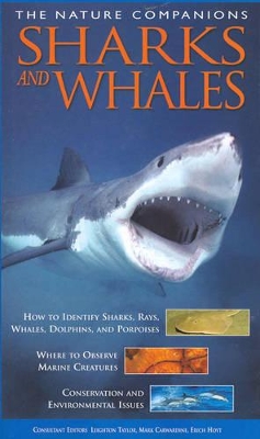 Sharks and Whales book