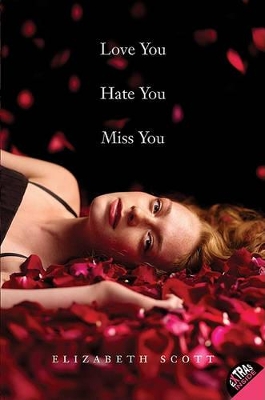 Love You Hate You Miss You book