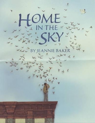 Home In The Sky book