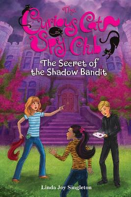 The Secret of the Shadow Bandit by Linda Singleton