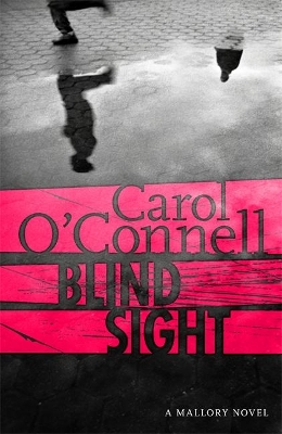 Blind Sight book