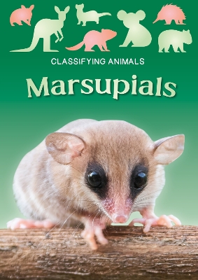 Marsupials by Madeline Tyler