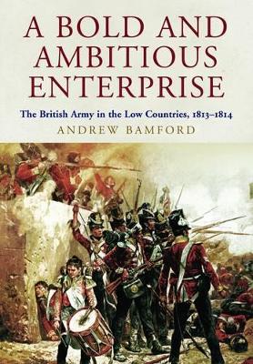 Bold and Ambitious Enterprise book