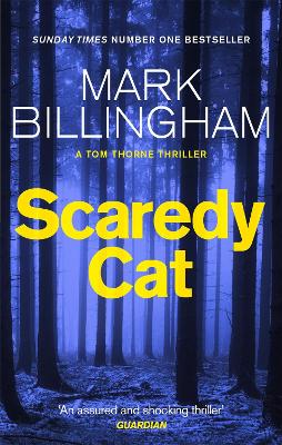 Scaredy Cat book