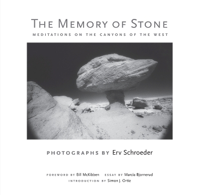 Memory of Stone book