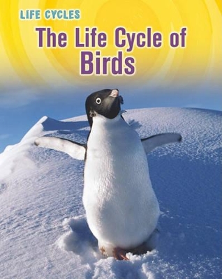 The Life Cycle of Birds by Susan H. Gray