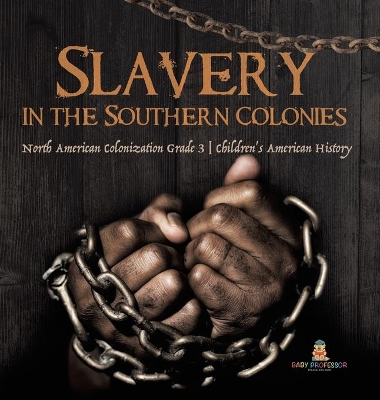 Slavery in the Southern Colonies North American Colonization Grade 3 Children's American History book