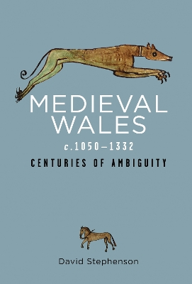 Medieval Wales c.1050-1332: Centuries of Ambiguity book