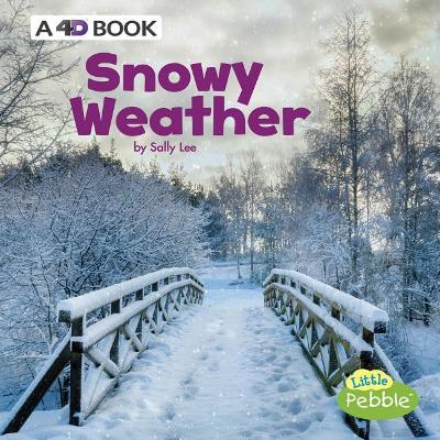 Snowy Weather book