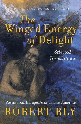 Winged Energy of Delight book