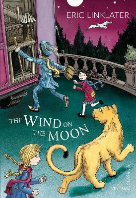 Wind on the Moon book