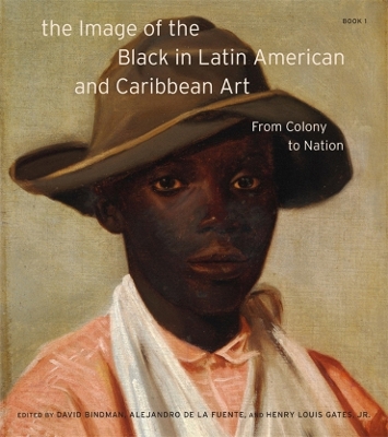 The Image of the Black in Latin American and Caribbean Art: Book 1 book