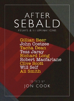 After Sebald: Essays and Illuminations book