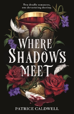 Where Shadows Meet book