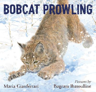 Bobcat Prowling book