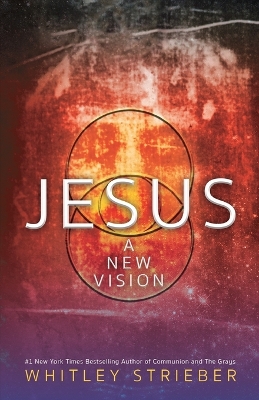 Jesus: A New Vision book