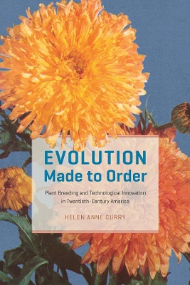 Evolution Made to Order: Plant Breeding and Technological Innovation in Twentieth-Century America book