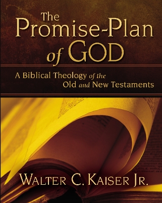 Promise-Plan of God book