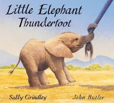 Little Elephant Thunderfoot book