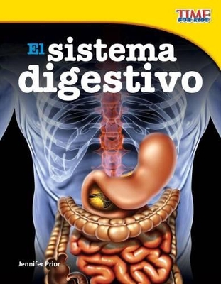The El sistema digestivo (The Digestive System) (Spanish Version) by Jennifer Prior
