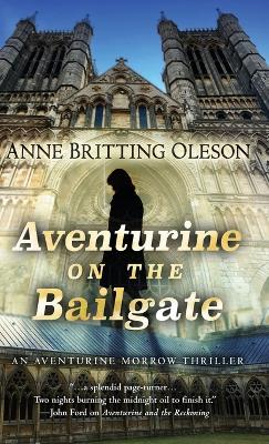 Aventurine on the Bailgate book