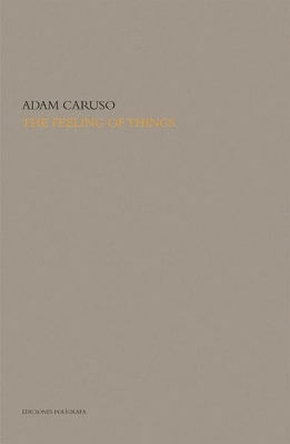 Feeling of Things book