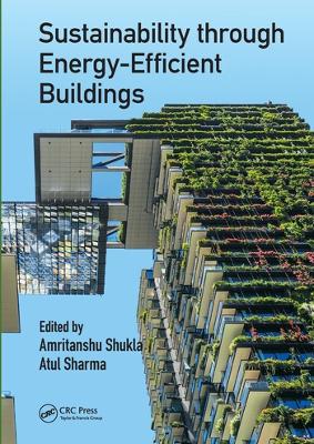 Sustainability through Energy-Efficient Buildings book