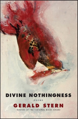 Divine Nothingness book