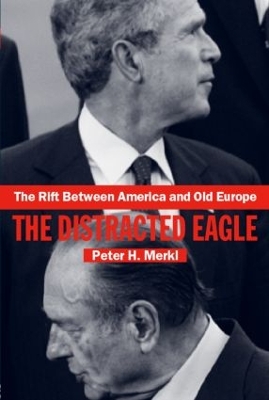 Rift Between America and Old Europe book