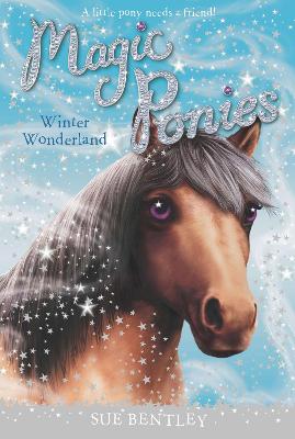 Winter Wonderland book