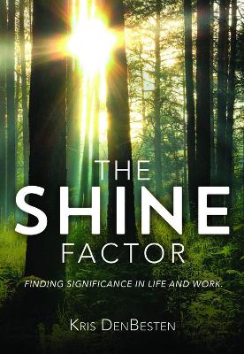 The Shine Factor book