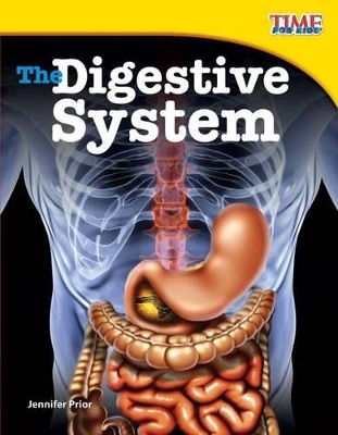 The Digestive System by Jennifer Prior