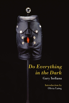 Do Everything in the Dark book