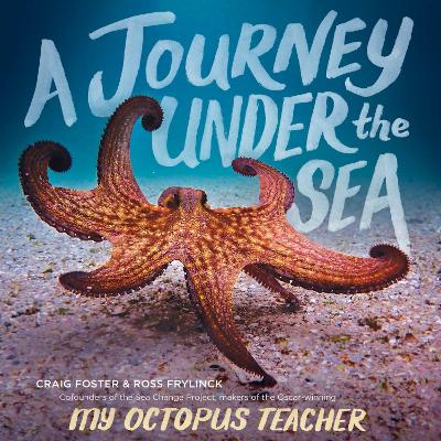 A Journey Under the Sea book