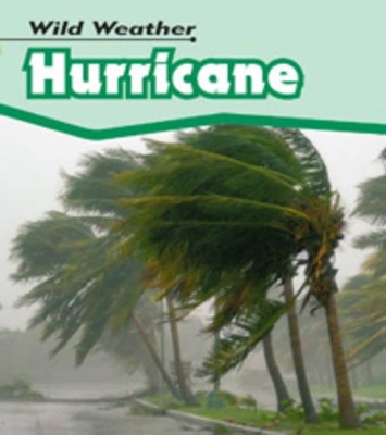 Hurricane book