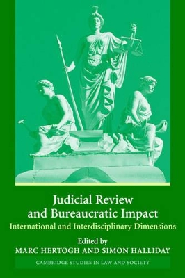 Judicial Review and Bureaucratic Impact book