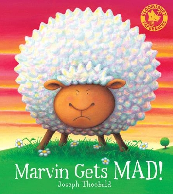 Marvin Gets Mad book