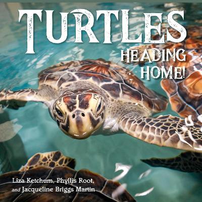Turtles Heading Home! book