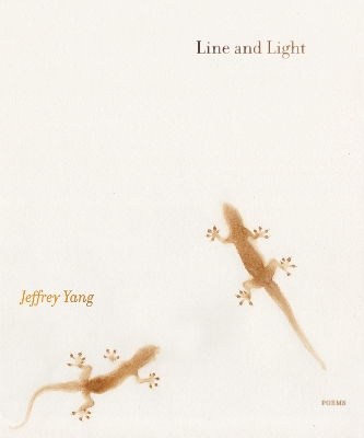 Line and Light: Poems book