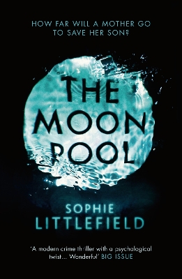 Moon Pool book