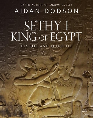Sethy I, King of Egypt: His Life and Afterlife book