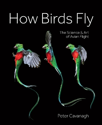 How Birds Fly: The Science and Art of Avian Flight book