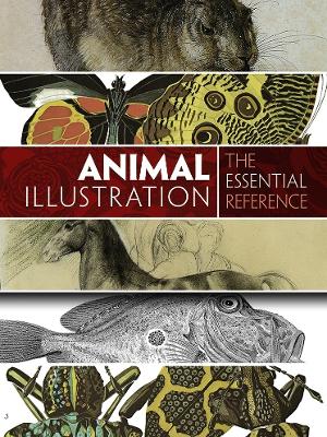 Animal Illustration: The Essential Reference book