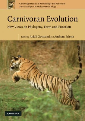 Carnivoran Evolution by Anjali Goswami