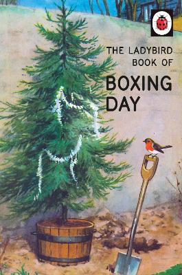 Ladybird Book of Boxing Day book