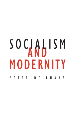 Socialism and Modernity book